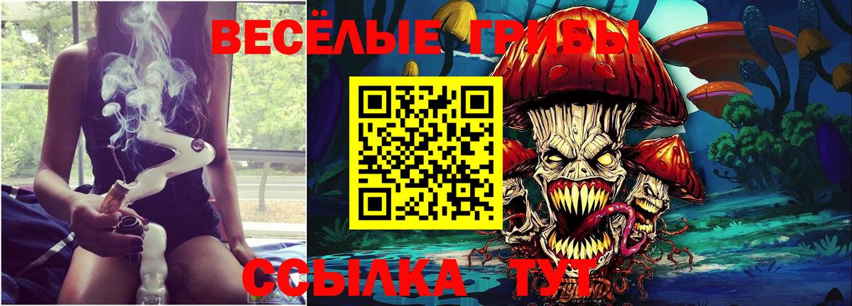 Псилоцибиновые грибы Psilocybine cubensis  цена   Анжеро-Судженск  Вход с VPN 